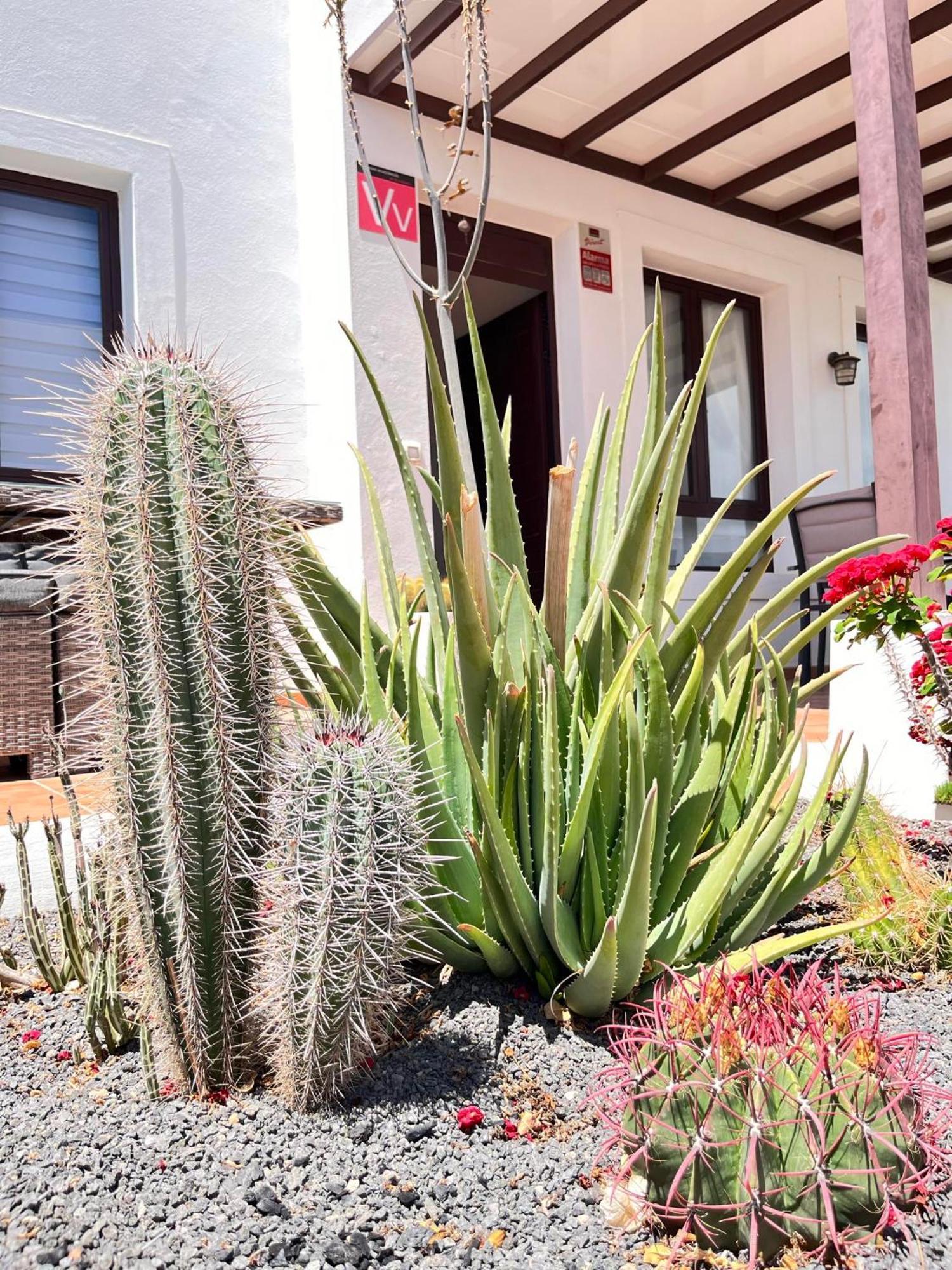 Casa Panadero'S, 3 Bedroom Villa プラヤ・ブランカ エクステリア 写真